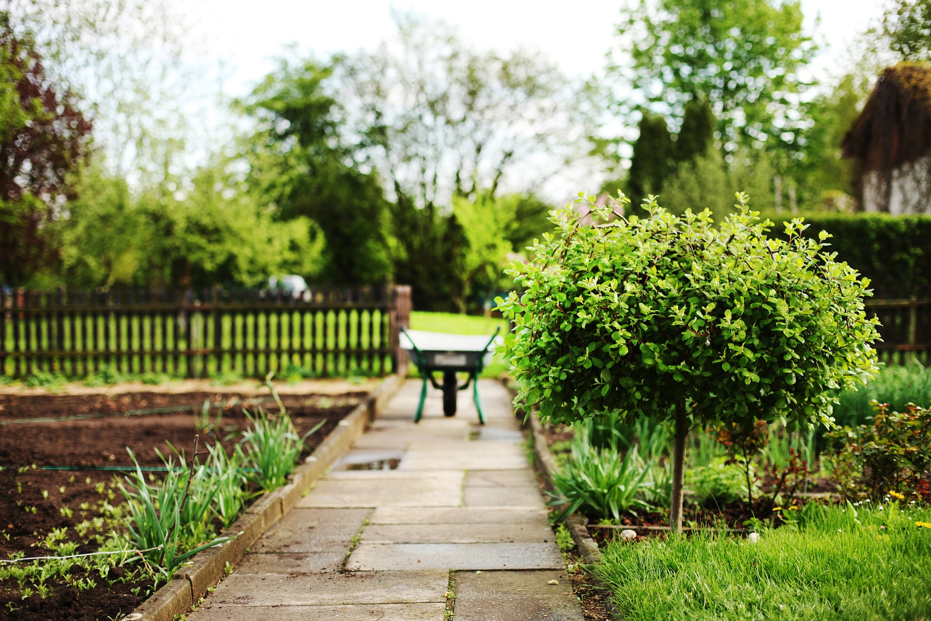 home garden