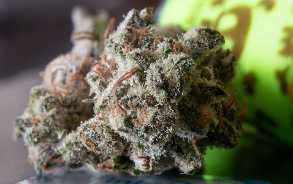 Health Benefits of CBD Gummies
