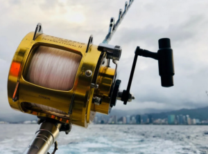reels
